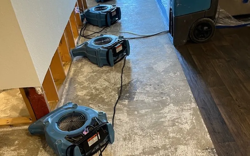 Structural Drying & Dehumidification in Dale, TX
